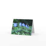 Pretty Maids in a Row - notecard