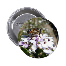 Pretty March Fly on Flowers Pinback Buttons