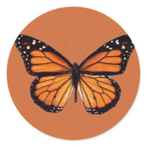 Pretty Monarch Butterfly