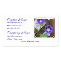 Pretty Morning Glories Business Cards