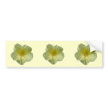 Pretty Natsurtium Flower Bumper Sticker bumper stickers