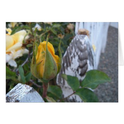 Pretty-On-A-Fence Card by PetalsNRoaches