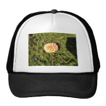 Pretty Orange Dahlia Flower Trucker Hat