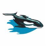 pretty orca killer whale photo sculptures
