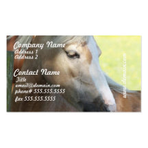 Pretty Palomino Business Cards