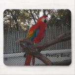 Pretty Parrot Mouse Pad mousepads