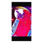 *Pretty Parrot* Wild Spirit Design