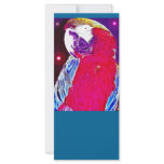 *Pretty Parrot* Wild Spirit Design rack cards