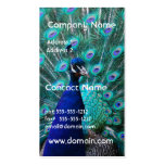 Pretty Peacock Business Card