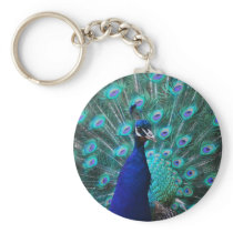 Pretty Peacock Keychain