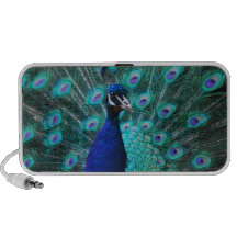 Pretty Peacock Portable Speakers
