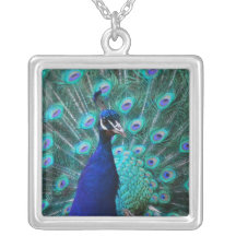 Pretty Peacock Sterling Silver Necklace