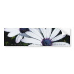Pretty Petals 5 Bumper Sticker bumper stickers