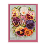 Pretty Pink and Purple Pansies Vintage Art postcards