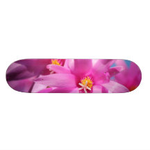 Pretty Pink Christmas Cactus Flowers Blooming Skate Boards