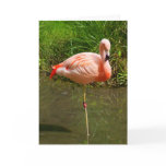 Pretty Pink Flamingo Customisable Greeting Cards
