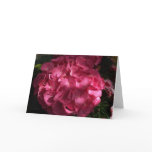 Pretty Pink Flowers
