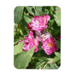 Pretty Pink Flowers Magnet