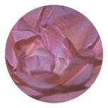 Pretty pink rose and meaning round sticker