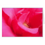 Pretty Pink Rose Card