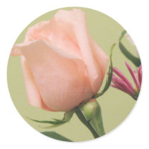Pretty Pink Rose Stickers