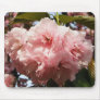 Pretty Pink Tree Flowers Mouse Mat
