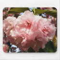 Pretty Pink Tree Flowers mousepads