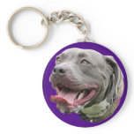 Pretty Pit in Purple Key Chains