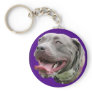 Pretty Pit in Purple Key Chains
