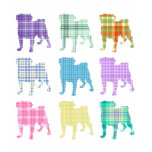 Pretty Plaid Pugs t-shirts
