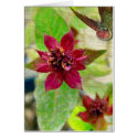 Pretty Plant 2 cards
