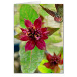 Pretty Plant 2 cards