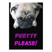 Pretty Please Pug Invitations