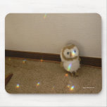 Pretty Pretties! mousepads