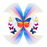 pretty rainbow butterflies swirl design photo sculptures