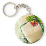 Pretty Red and Green Season Holiday Greetings keychains