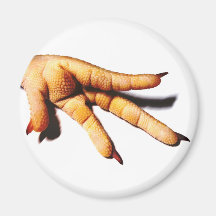 pretty refrigerator magnet