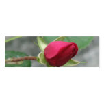 Pretty Rose Bookmark