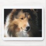 Pretty sheltie face mousepads