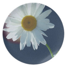 Pretty Spring or Summer Daisy Plates