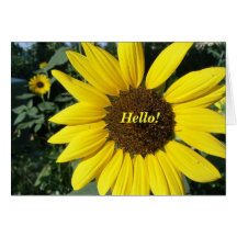 Pretty Sunflower Card