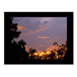 Pretty Sunset Post Card