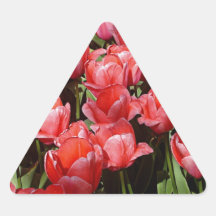 Pretty Tulips Stickers