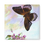 Pretty Vintage Butterfly magnets