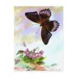Pretty Vintage Butterfly postcards