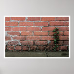 Pretty Wall Plant posters