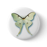 Pretty White Butterfly Design buttons