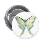 Pretty White Butterfly Design Pin