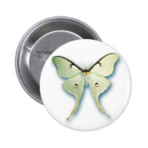Pretty White Butterfly Design Pin