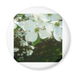 Pretty White Flowers magnets